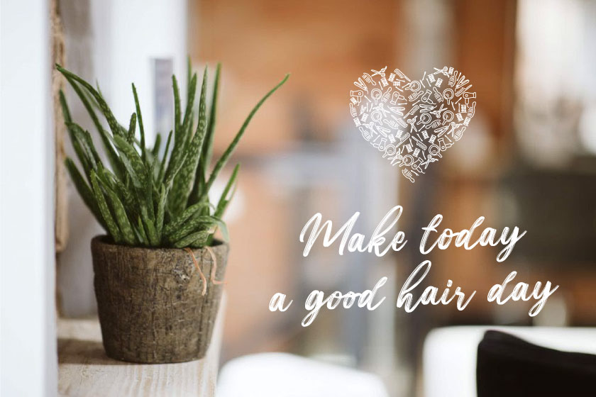 make today a good hair day at combers salon in taunton