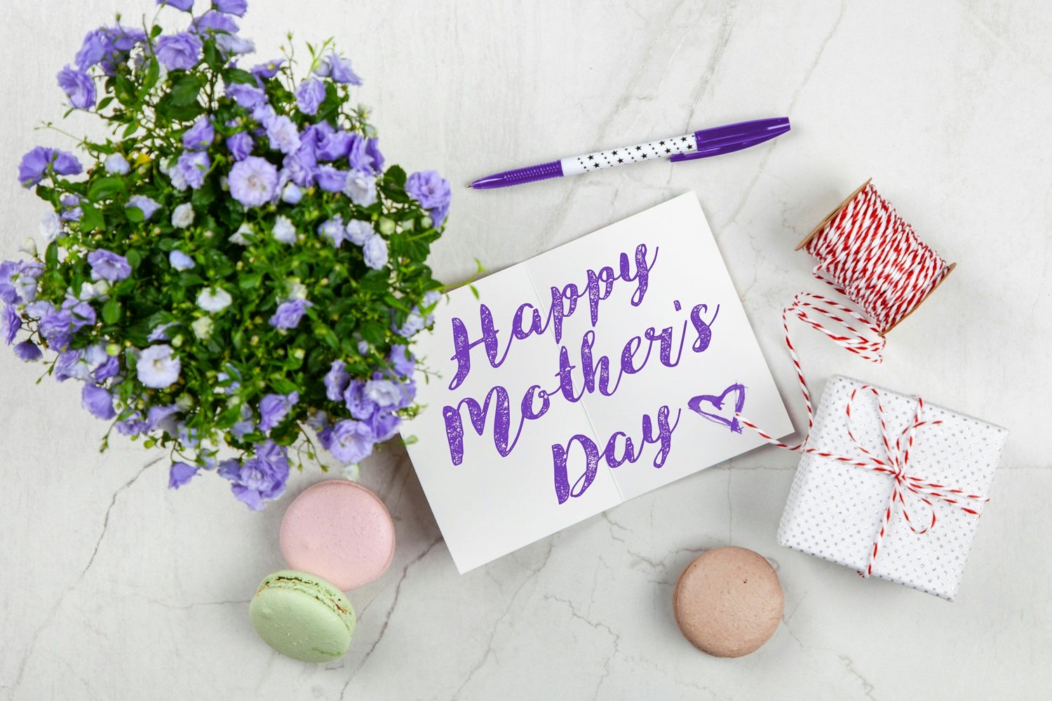 mother's day at combers inside-out hairdressing in Taunton