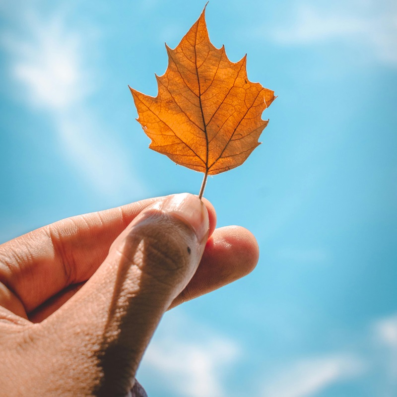 Autumn Hair Trends