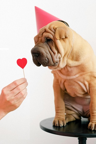 Valentine Offer at Combers Hair Salon Taunton