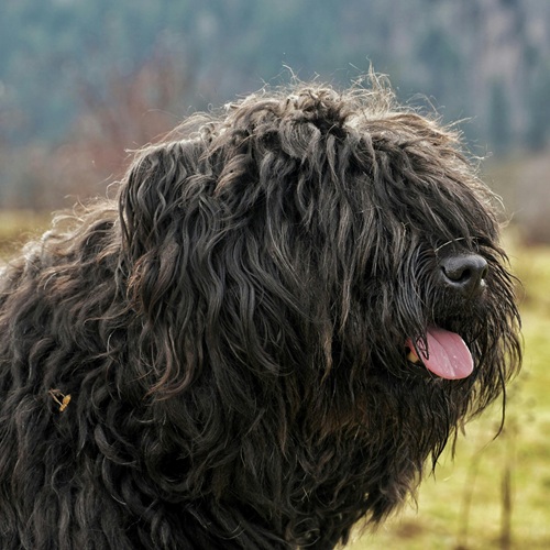 Flat Hair Is SO Last Season