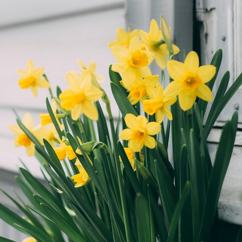 lighten hair for spring combers inside out hair taunton